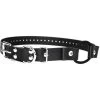 E-Collar Technologies - 1" Width Bungee Collar
