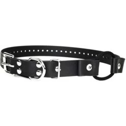 E-Collar Technologies - 1" Width Bungee Collar