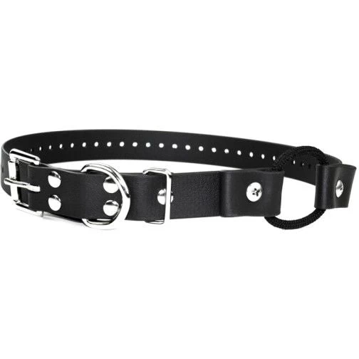 E-Collar Technologies - 1" Width Bungee Collar 1 E-Collar Technologies - 1" Width Bungee Collar