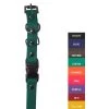 E-Collar Technologies - 3/4" Width - Quick Snap Biothane Collar