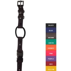 E-Collar Technologies - 3/4" Width Quick Snap Bungee Collar