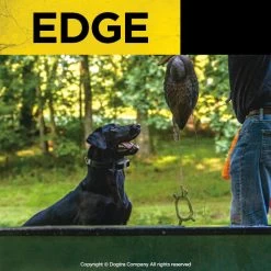 Dogtra - EDGE - 1 Mile - Remote Training Collar 11 Dogtra - EDGE - 1 Mile - Remote Training Collar -PetSafe Store BirdHuntingDogWearingDogtraEDGERemoteTrainingCollar