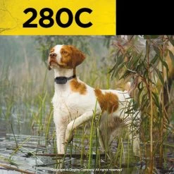 Dogtra - 280C - 1/2 Mile - Remote Training Collar -PetSafe Store DogWearingDogtra280CRemoteTrainingCollar