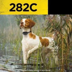 Dogtra - 282C - 1/2 Mile - Remote Training Collar -PetSafe Store DogWearingDogtra282CRemoteTrainingCollar