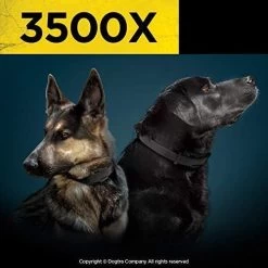 Dogtra - 3500X - 1.5 Miles - Remote Training Collar 12 Dogtra - 3500X - 1.5 Miles - Remote Training Collar -PetSafe Store DogsWearingDogtra3500XRemoteTrainingCollars