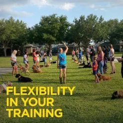 Dogtra - 1902S Handsfree Plus - 3/4 Mile - Remote Training Collar 15 Dogtra - 1902S Handsfree Plus - 3/4 Mile - Remote Training Collar -PetSafe Store DogsandTrainersUsingDogtra1902SHandsfreePlusRemoteTrainingCollar