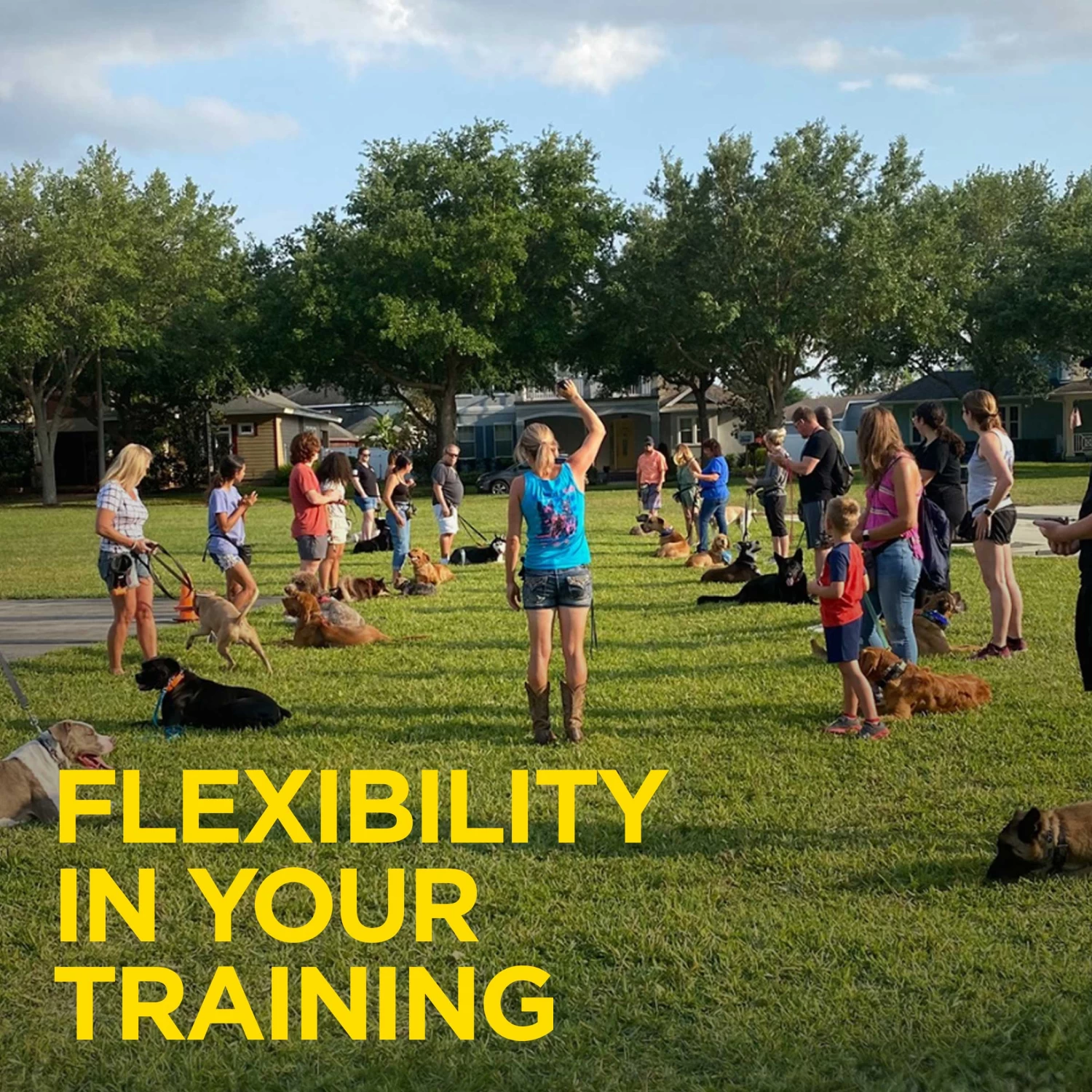 Dogtra - 1902S Handsfree Plus - 3/4 Mile - Remote Training Collar 7 Dogtra - 1902S Handsfree Plus - 3/4 Mile - Remote Training Collar - Image 7