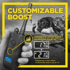 Dogtra - 1900S Black Boost & Lock - 1 Mile - Remote Training Collar 15 Dogtra - 1900S Black Boost & Lock - 1 Mile - Remote Training Collar -PetSafe Store Dogtra1900SBEwithCustomBoost