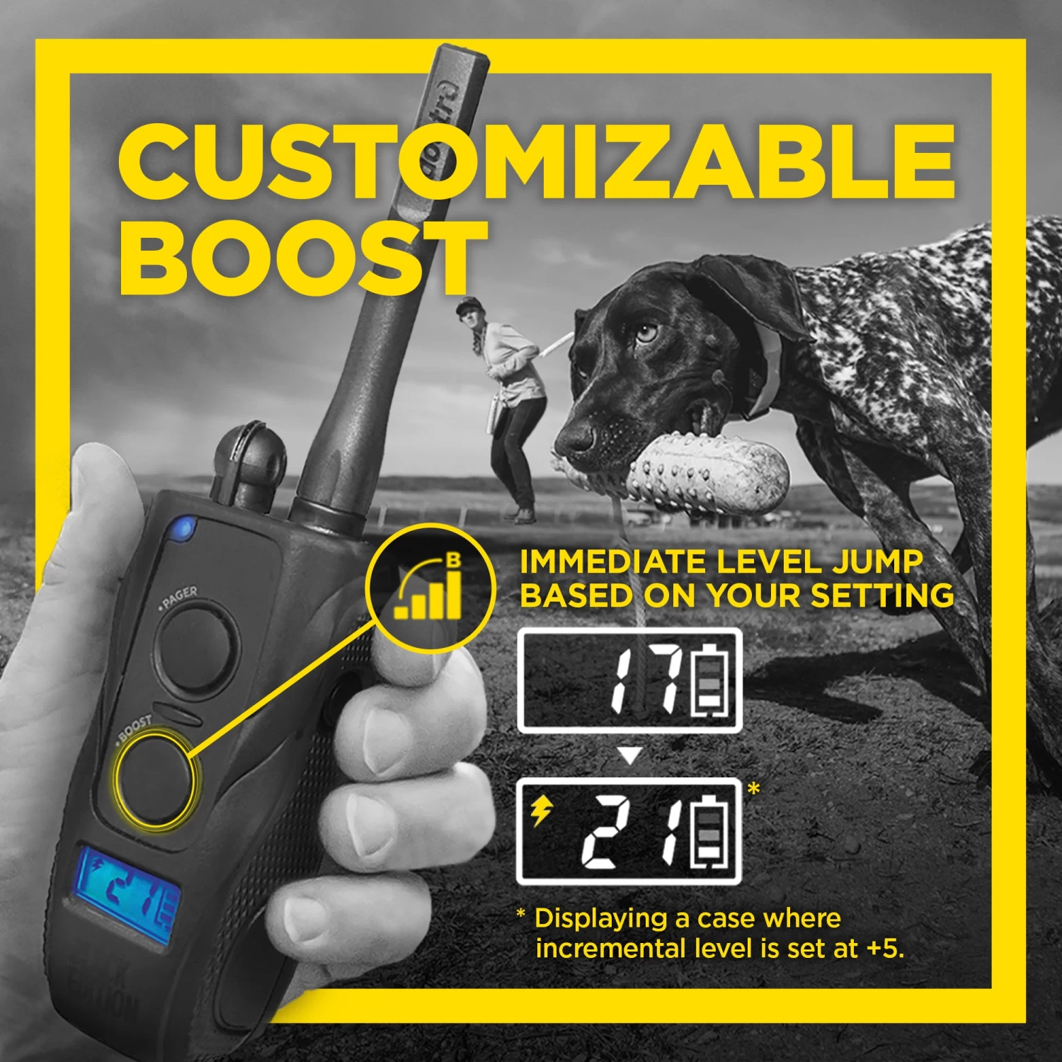 Dogtra - 1900S Black Boost & Lock - 1 Mile - Remote Training Collar 5 Dogtra - 1900S Black Boost & Lock - 1 Mile - Remote Training Collar - Image 5