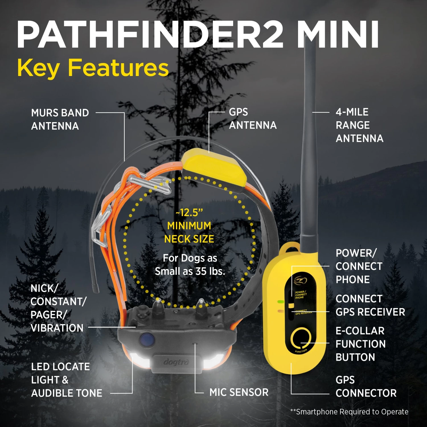 Dogtra - Pathfinder 2 Mini - 4 Miles - Remote Training Collar Waterproof 2 Dogtra - Pathfinder 2 Mini - 4 Miles - Remote Training Collar Waterproof - Image 2