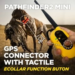 Dogtra - Pathfinder 2 Mini - 4 Miles - Remote Training Collar Waterproof 8 Dogtra - Pathfinder 2 Mini - 4 Miles - Remote Training Collar Waterproof -PetSafe Store DogtraPathfinder2MiniRemoteTrainingCollarwithGPSConnector