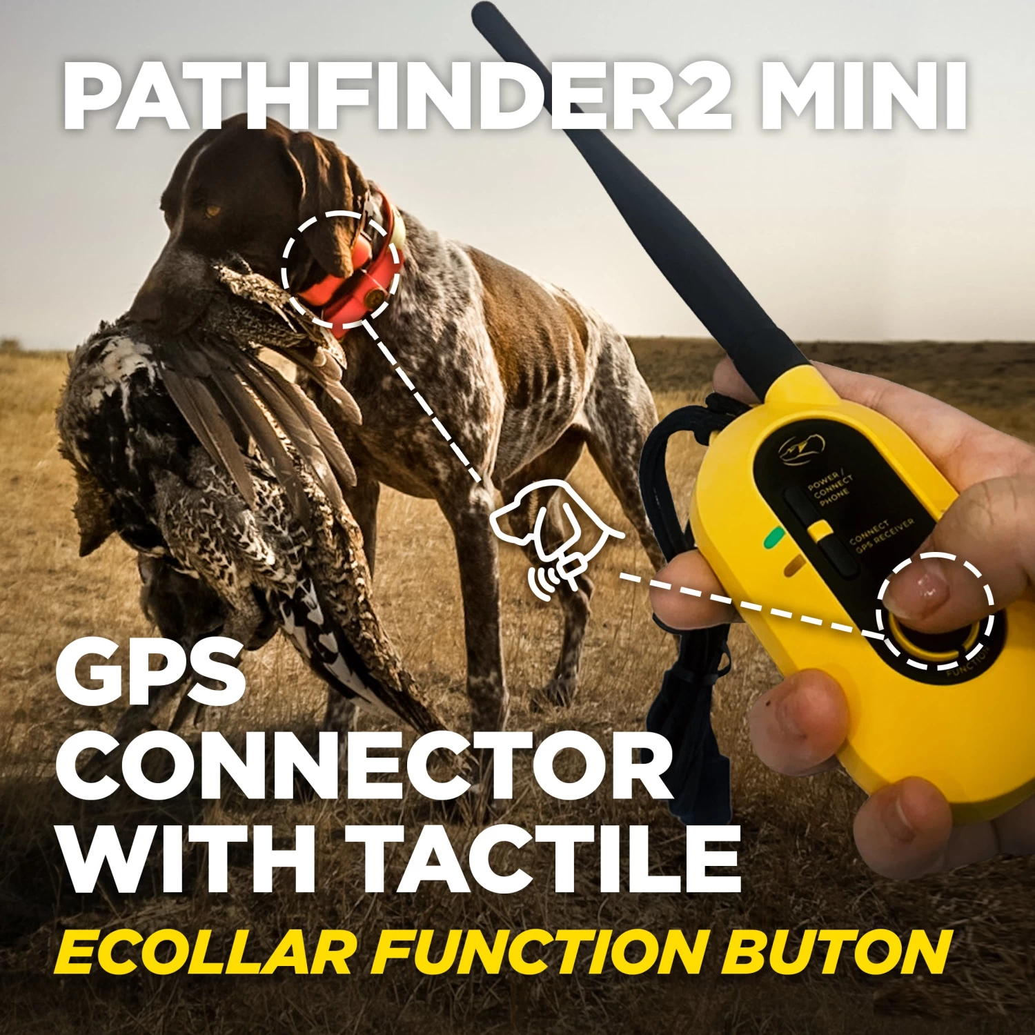 Dogtra - Pathfinder 2 Mini - 4 Miles - Remote Training Collar Waterproof 3 Dogtra - Pathfinder 2 Mini - 4 Miles - Remote Training Collar Waterproof - Image 3