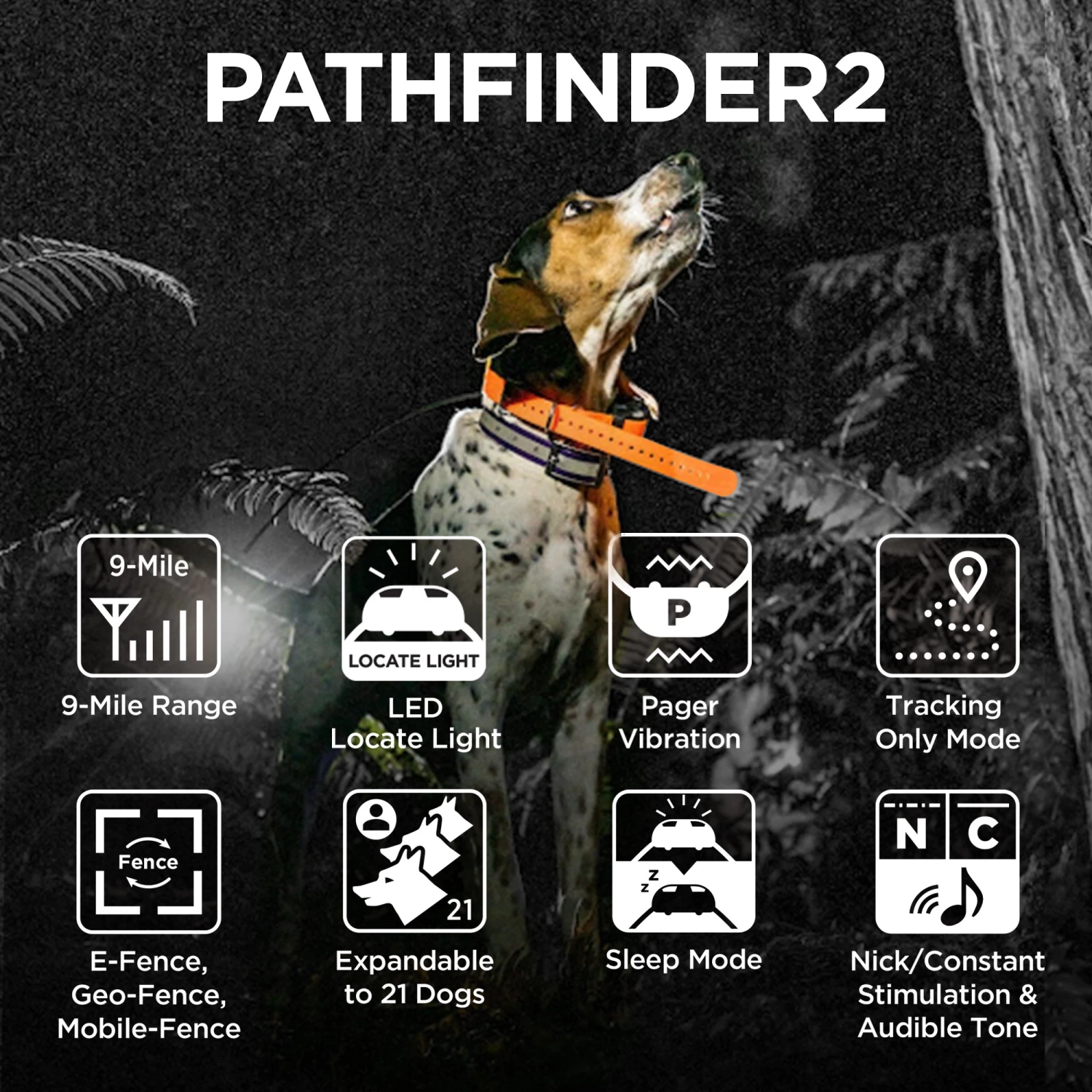 Dogtra - Pathfinder 2 - 9 Miles - Remote Training Collar 2 Dogtra - Pathfinder 2 - 9 Miles - Remote Training Collar - Image 2