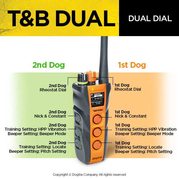Dogtra - T&B Dual 2-dog - 1.5 Miles - Remote Training Collar 5 Dogtra - T&B Dual 2-dog - 1.5 Miles - Remote Training Collar - Image 5