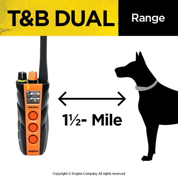 Dogtra - T&B Dual 2-dog - 1.5 Miles - Remote Training Collar 4 Dogtra - T&B Dual 2-dog - 1.5 Miles - Remote Training Collar - Image 4