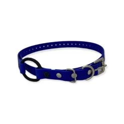 E-Collar Technologies - 3/4" Width Bungee Collar 12 E-Collar Technologies - 3/4" Width Bungee Collar -PetSafe Store E CollarTechnologies3 4 BungeeCollarStrap Blue