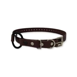 E-Collar Technologies - 3/4" Width Bungee Collar 13 E-Collar Technologies - 3/4" Width Bungee Collar -PetSafe Store E CollarTechnologies3 4 BungeeCollarStrap Brown 782c7601 7105 46f8 893c 938092da167d