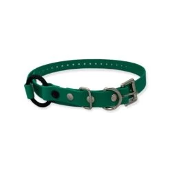 E-Collar Technologies - 3/4" Width Bungee Collar 14 E-Collar Technologies - 3/4" Width Bungee Collar -PetSafe Store E CollarTechnologies3 4 BungeeCollarStrap Green 6964a3c2 ee63 4536 aeea 852c59f8be0e