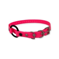 E-Collar Technologies - 3/4" Width Bungee Collar 16 E-Collar Technologies - 3/4" Width Bungee Collar -PetSafe Store E CollarTechnologies3 4 BungeeCollarStrap Pink dc802ba5 7902 4359 97bd c31800c620bc