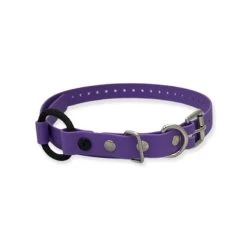 E-Collar Technologies - 3/4" Width Bungee Collar 17 E-Collar Technologies - 3/4" Width Bungee Collar -PetSafe Store E CollarTechnologies3 4 BungeeCollarStrap Purple 611f5850 2fb9 4396 ba61 322e67469e8c
