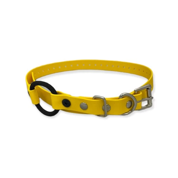 E-Collar Technologies - 3/4" Width Bungee Collar 10 E-Collar Technologies - 3/4" Width Bungee Collar - Image 10