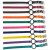 E-Collar Technologies - 3/4" Width Bungee Collar