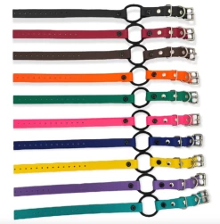 E-Collar Technologies - 3/4" Width Bungee Collar