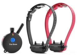 Boss Educator ET-800 Remote Dog Training Collar Black By E-Collar Technologies -PetSafe Store ET 802 Tx Rx LongBelt