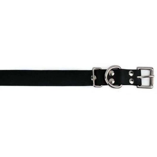 E-Collar Technologies - 1" Width - Biothane Replacement Strap 2 E-Collar Technologies - 1" Width - Biothane Replacement Strap - Image 2