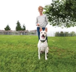 PetSafe - PBC00-12724 - Elite Big Dog Spray Bark Control - RFA-18 Replaceable Battery - No Bark Collar -PetSafe Store Elite Big Dog Spray Bark Control LS 2255