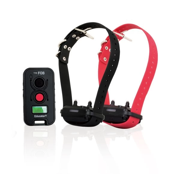 FOB Educator FE-582 Remote Training Collar By E-Collar Technologies 1 FOB Educator FE-582 Remote Training Collar By E-Collar Technologies