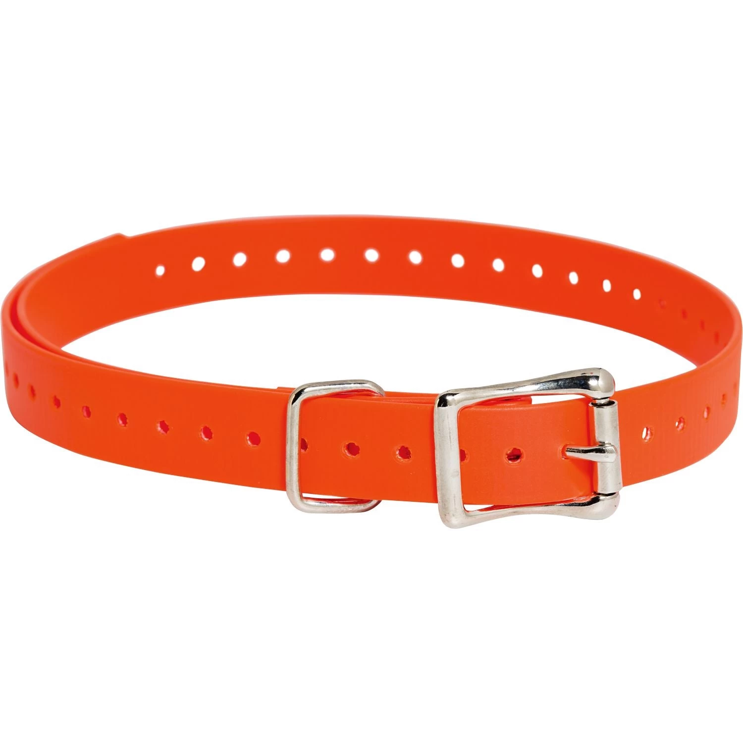 SportDOG - 3/4" X 28" - E-Collar Replacement Strap 6 SportDOG - 3/4" X 28" - E-Collar Replacement Strap - Image 6