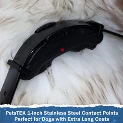 PetsTEK - Contact Points 1" - Compatible With Dogtra E-Collars 6 PetsTEK - Contact Points 1" - Compatible With Dogtra E-Collars -PetSafe Store PetsTEK1 InchStainlessSteelContactPointsforDogswithLongHair