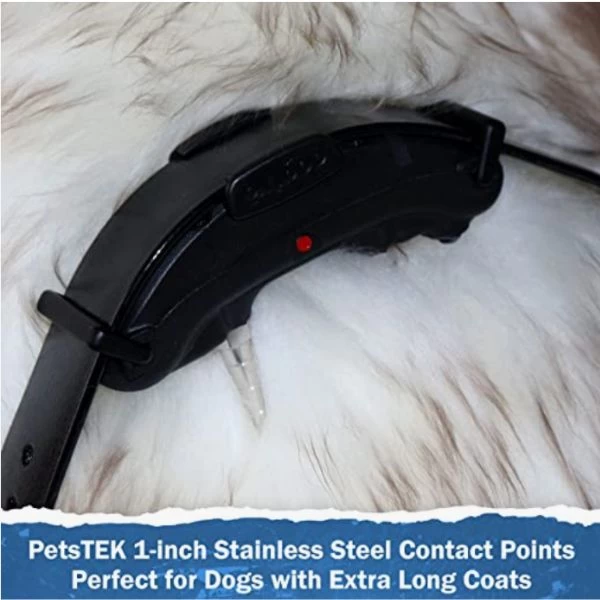 PetsTEK - Contact Points 1" - Compatible With Dogtra E-Collars 3 PetsTEK - Contact Points 1" - Compatible With Dogtra E-Collars - Image 3