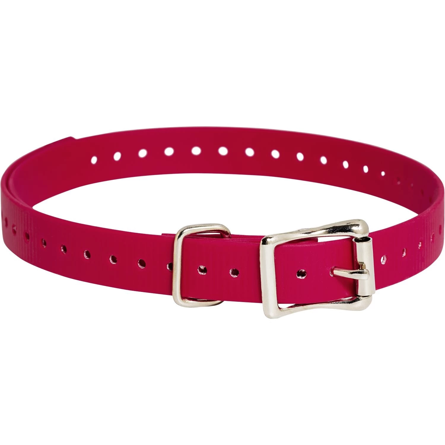 SportDOG - 3/4" X 28" - E-Collar Replacement Strap 9 SportDOG - 3/4" X 28" - E-Collar Replacement Strap - Image 9