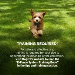 Dogtra - E-Fence 3500 - 40 Acres - E-Fence 15 Dogtra - E-Fence 3500 - 40 Acres - E-Fence -PetSafe Store SmallDogWearingDogtraCollarRunningonGrass