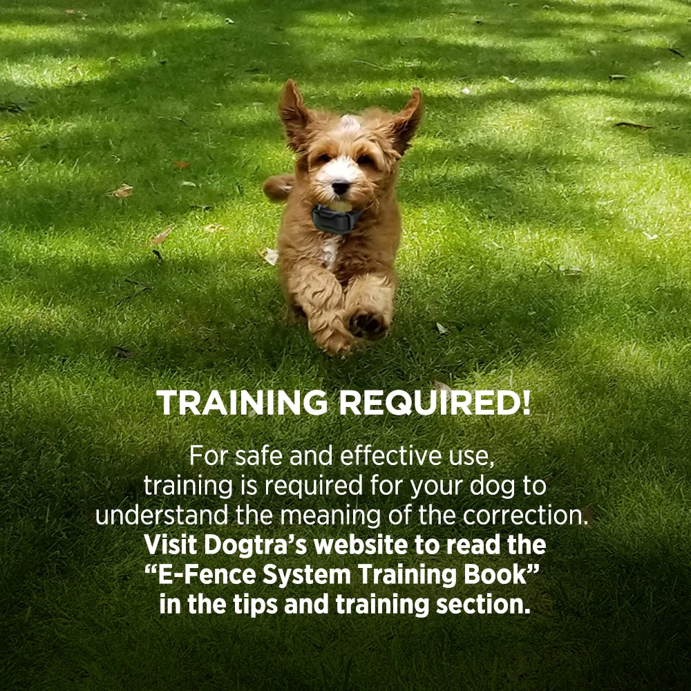 Dogtra - E-Fence 3500 - 40 Acres - E-Fence 8 Dogtra - E-Fence 3500 - 40 Acres - E-Fence - Image 8