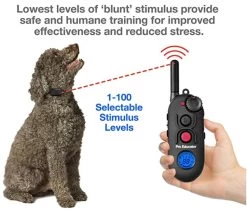 Pro Educator PE-903 Remote Dog Training Collar Black By E-Collar Technologies 6 Pro Educator PE-903 Remote Dog Training Collar Black By E-Collar Technologies -PetSafe Store StimulationLevelsonPE 903ProEducatorRemoteTrainingCollar