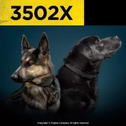 Dogtra - 3502X - 1.5 Miles - Remote Training Collar 13 Dogtra - 3502X - 1.5 Miles - Remote Training Collar -PetSafe Store TwoDogsWearingDogtra3502XRemoteTrainingCollars