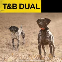 Dogtra - T&B Dual 2-dog - 1.5 Miles - Remote Training Collar 15 Dogtra - T&B Dual 2-dog - 1.5 Miles - Remote Training Collar -PetSafe Store TwoDogsinFieldWearingDogtraT BDualRemoteTrainingCollars