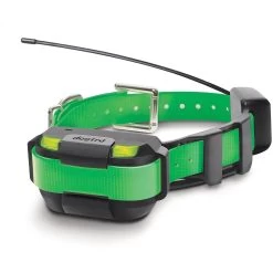 Dogtra - Pathfinder Mini RX Green - 4 Miles - Additional Collar
