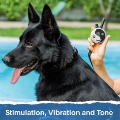 Mini Educator ET-300 Remote Dog Training Collar ZEN By E-Collar Technologies 13 Mini Educator ET-300 Remote Dog Training Collar ZEN By E-Collar Technologies -PetSafe Store e collar technologies et 300 z dog wearing remote training collar