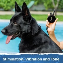 Mini Educator ET-302 Remote Dog Training Collar Black By E-Collar Technologies 13 Mini Educator ET-302 Remote Dog Training Collar Black By E-Collar Technologies -PetSafe Store e collar technologies et 302 bk pc dog wearing remote training collar