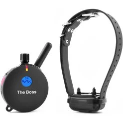 Boss Educator ET-800 Remote Dog Training Collar Black By E-Collar Technologies