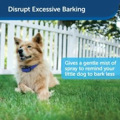 PetSafe - PBC00-11283 - Elite Little Dog Spray Bark Collar - RFA-188 Battery - No Bark Collar 10 PetSafe - PBC00-11283 - Elite Little Dog Spray Bark Collar - RFA-188 Battery - No Bark Collar -PetSafe Store petsafe pbc00 11283 elite little dog spray no bark collar disrupts excessive barking