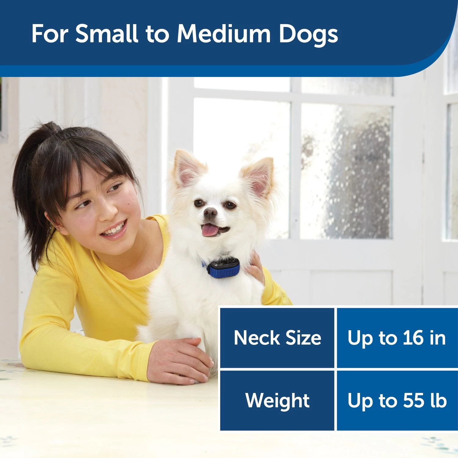 PetSafe - PBC00-11283 - Elite Little Dog Spray Bark Collar - RFA-188 Battery - No Bark Collar 5 PetSafe - PBC00-11283 - Elite Little Dog Spray Bark Collar - RFA-188 Battery - No Bark Collar - Image 5