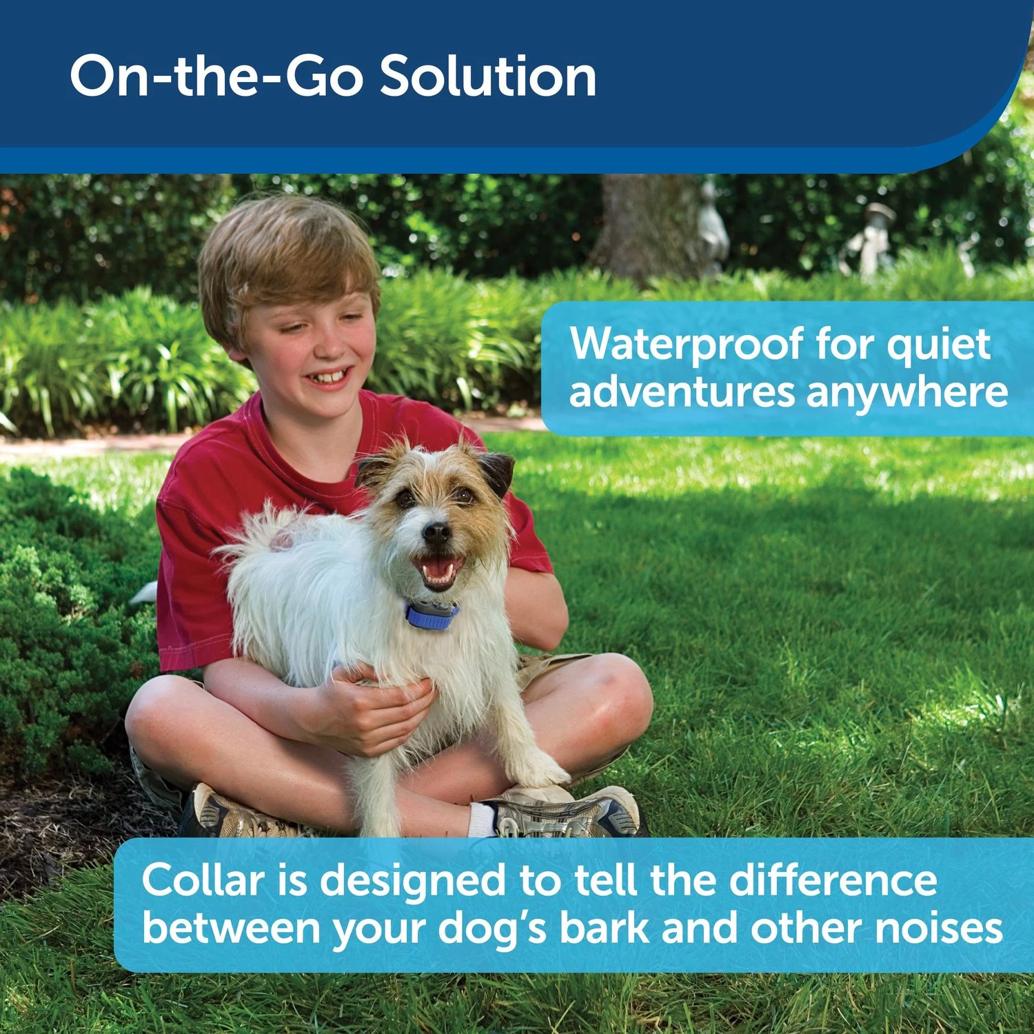 PetSafe - PBC00-11283 - Elite Little Dog Spray Bark Collar - RFA-188 Battery - No Bark Collar 3 PetSafe - PBC00-11283 - Elite Little Dog Spray Bark Collar - RFA-188 Battery - No Bark Collar - Image 3