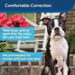 PetSafe - PBC00-13925 - Ultrasonic Bark Control Collar - Replaceable 3-Volts Lithium Batteries - No Bark Collar -PetSafe Store petsafe pbc00 13925 ultrasonic bark control collar with comfortable correction
