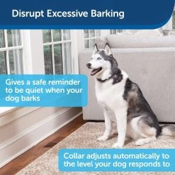 PetSafe - PBC00-15999 - Rechargeable Bark Control Collar - Rechargeable Battery - No Bark Collar 11 PetSafe - PBC00-15999 - Rechargeable Bark Control Collar - Rechargeable Battery - No Bark Collar -PetSafe Store petsafe pbc00 15999 rechargeable bark control collar to disrupt excessive barking