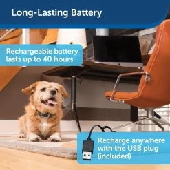 PetSafe - PBC00-15999 - Rechargeable Bark Control Collar - Rechargeable Battery - No Bark Collar 12 PetSafe - PBC00-15999 - Rechargeable Bark Control Collar - Rechargeable Battery - No Bark Collar -PetSafe Store petsafe pbc00 15999 rechargeable bark control collar with long lasting battery